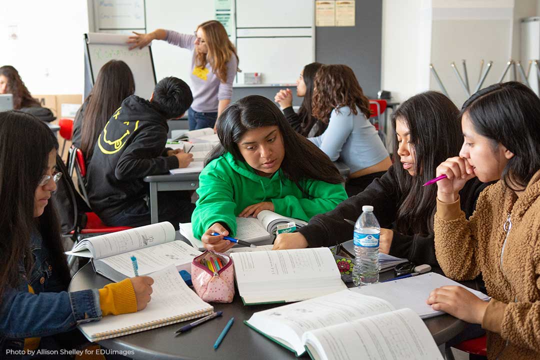 Scaffolding-Algebra-Content-and-Language—Case-Study